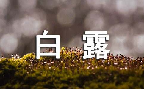 白露的唯美短句语句朋友圈（精选310句）