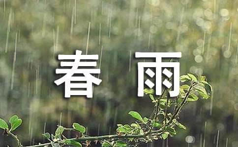 写春雨的语句220句