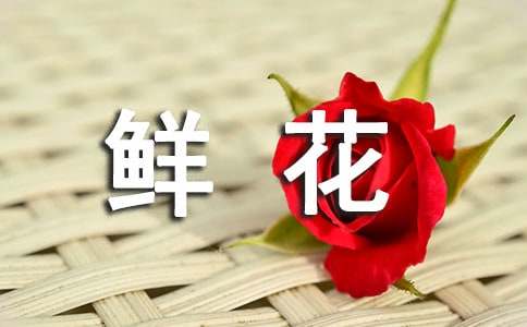 芳华鲜花语句170句